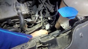 Volkswagen Multivan T6 отключение ADBLUE (Мочевины) ЕГР саженного фильтра и вихревые заслонки