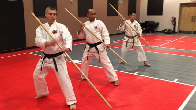 Bojutsu 20160108 - Thrust low and return. смотреть онлайн