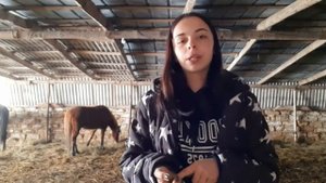 приучение жеребёнка к рукам человека