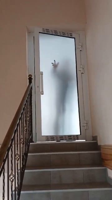 Дверь с матовым стеклопакетом, часто задают вопрос ! А что видно за матовым стеклом ?! Ничего !!!! смотреть онлайн