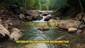 Сила нереагирования | Лучшая реакция – отсутствие реакции!