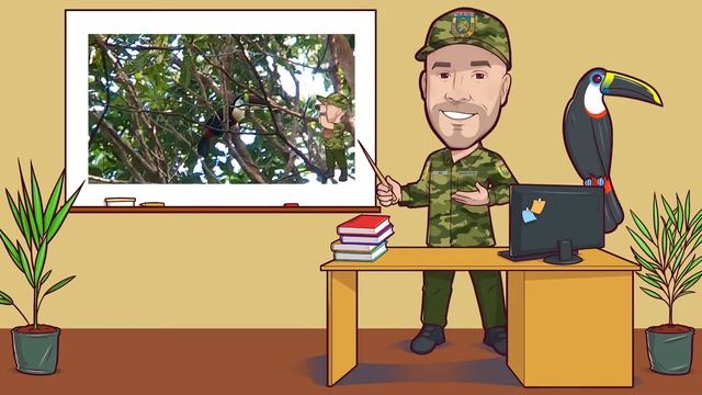 Learning with Rio - 2022 - Amazon Rainforest Education - White Throated Toucan  - Ep.5