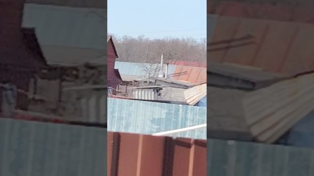 1000022366.mp4