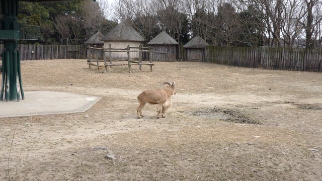 P1000557　４K смотреть онлайн