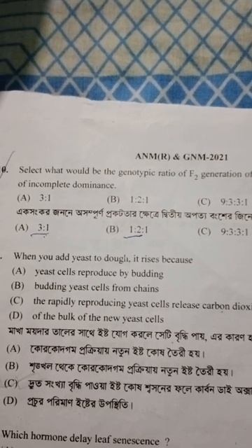 the genotypic ratio of F2 generation of a monohybrid cross in case of incomplete dominance смотреть онлайн