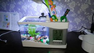 Запуск рыбок. В мини настольный аквариум. Детишки довольны.