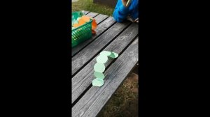 Röövik/Caterpillar