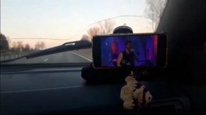 Архив. 7.03.25г. Дорога...деревня! Вот теперь я... это я 😀 с любимым цветом