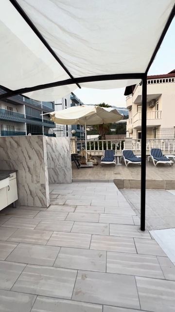 Kangal Welpen #Alanya#shorts #puppy #kangal #hunde #dog #alanya #türkei #köpek #yavru #собаки смотреть онлайн