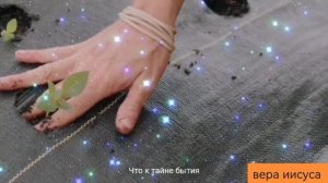 Луч тающей звезды__Группа Екклесиаст_ Христианское пени