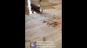 Лайфхак. Обновление пола