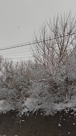 Боровск