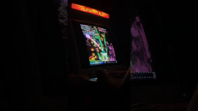 Dodonpachi Daifukkatsu Black Label смотреть онлайн