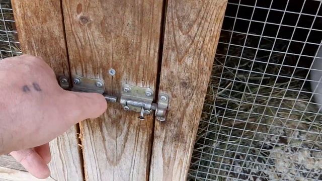 Остался без кроликов смотреть онлайн