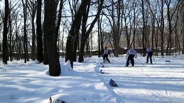 Лыжная гонка 11.02.2018 памяти МС Э.Быкова и директора ДЮСШ №11 Н.Г. Муравлева, г. Самара смотреть онлайн