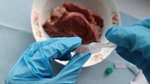 Диагностический экспресс тест на бруцеллез животных