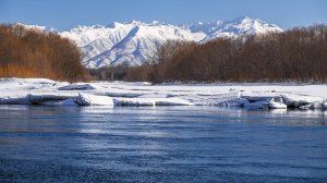 Река. Апрель.Purrle Cat