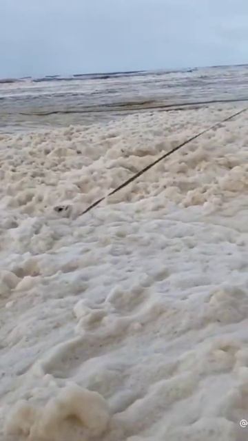 Бедный корги утонул в пене! смотреть онлайн