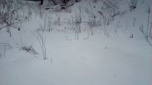 10 АПРЕЛЯ ХОТЬ ЛЫЖИ НАДЕВАЙ НА РЫБАЛКУ