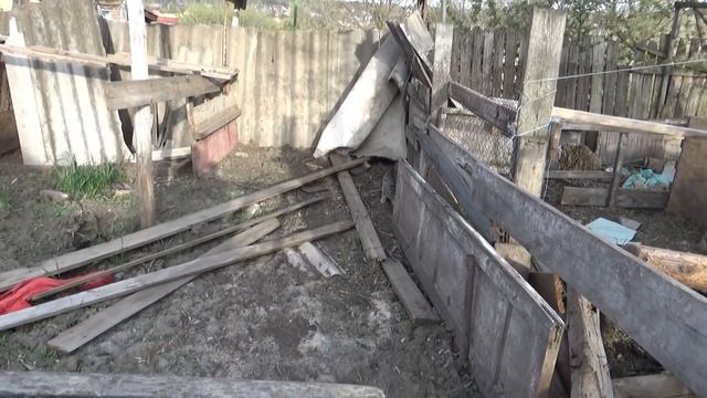 17 04 20, чем занимались, кролики прижились, Шаповаловы Коля Оля