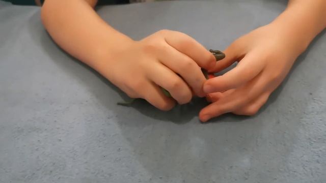 Богомол и сколопендра