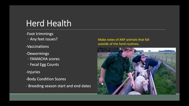 Record Keeping for Small Ruminants-Heather Porter смотреть онлайн
