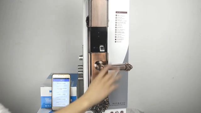 Magnate Smart Fingerprint European Retro Door Lock.Ретро умный дверной замок Magnate смотреть онлайн