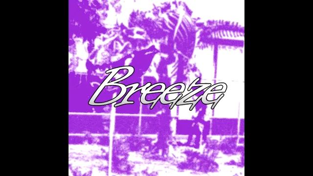 [FREE] Juice WRLD | Rich The Kid | Playboi Carti Type Beat - Breeze | TRAP INSTRUMETNAL 2018