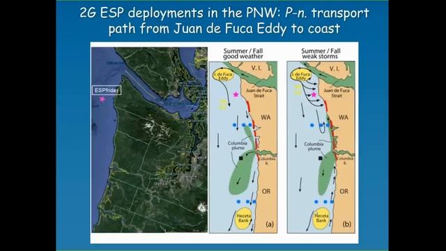Autonomous, in-situ detection of biotoxins associated with harmful algal blooms смотреть онлайн