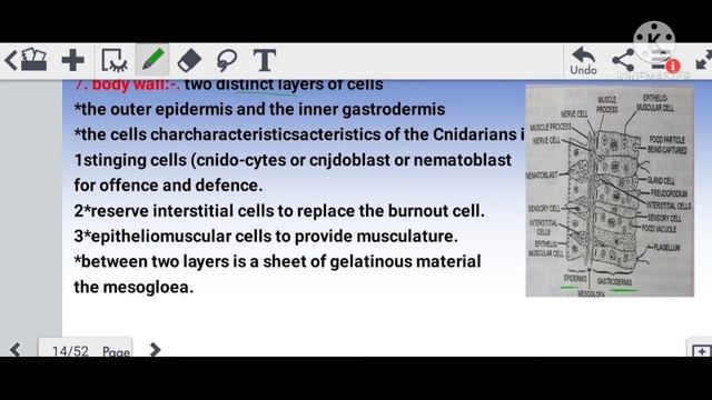 Animal kingdom /phylum porifera and coelenterata/MCQ /shudhgyan смотреть онлайн