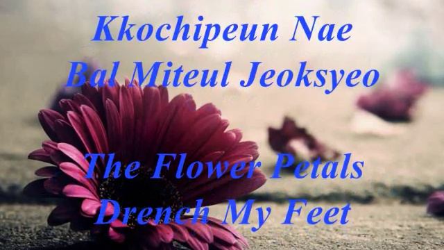 Blossom Tears(꽃잎놀이) LYn X LEO (VIXX) (Karaoke/Instrumental + Lyrics) смотреть онлайн