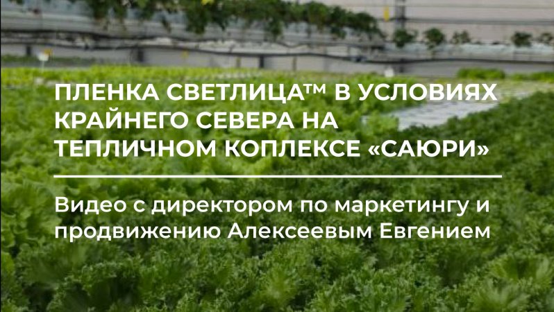 Плёнка СВЕТЛИЦА™ на тепличном комплексе «САЮРИ» 🌤️