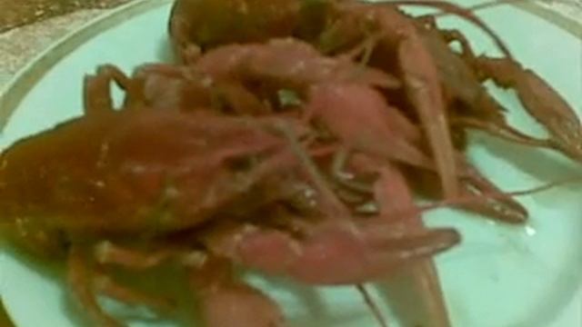 Готовых раков выкладываем на блюдо! смотреть онлайн
