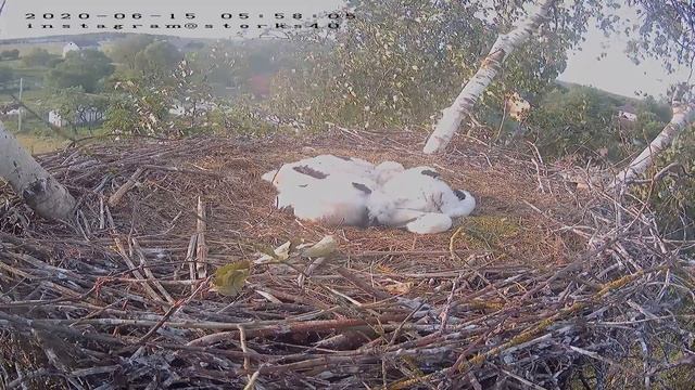 record 0000 0000 CH01 20200615055659 20200615055912 смотреть онлайн