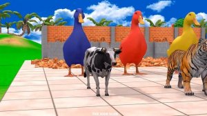 Соревновалки