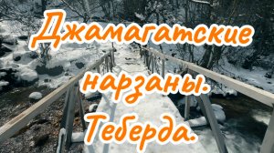 Джамагатские нарзаны 13.04.2025 Теберда