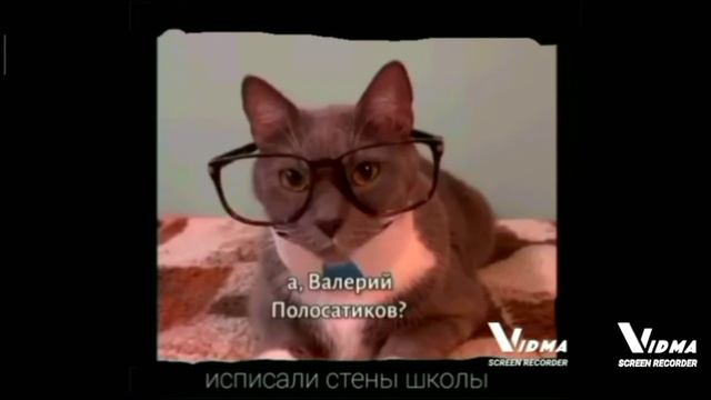Валерий полосатиков kotynet демотиватор