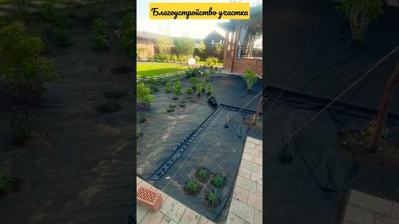 Благоустройство дачного участка.