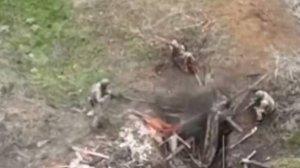 🔴Штурм блиндажа ВСУ, захват пленных -🐷-🔴