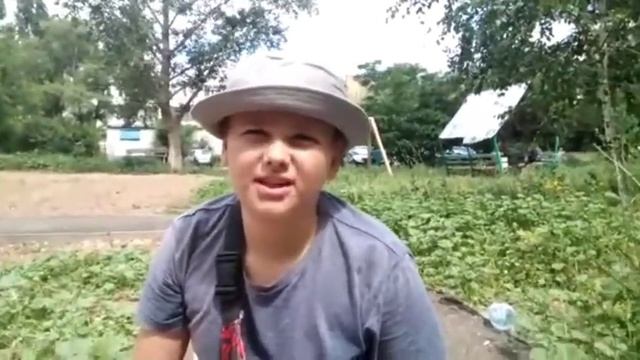 поймали осу! как не боятся осы смотреть онлайн