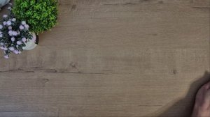 Итоги февраля 2025г.