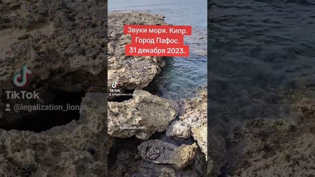 31 декабря 2023 г. смотреть онлайн