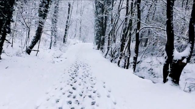 Meißen im Winter - Blueye Pictures inc Filmtastic смотреть онлайн