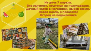 Дачные хлопоты магаданцев в Рязани. Дача 7 апреля 2025. Новая метла. Похолодание, а все зеленеет