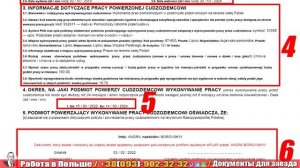 Приглашение в Польшу на 24 месяца! Как выглядит и Как проверить?