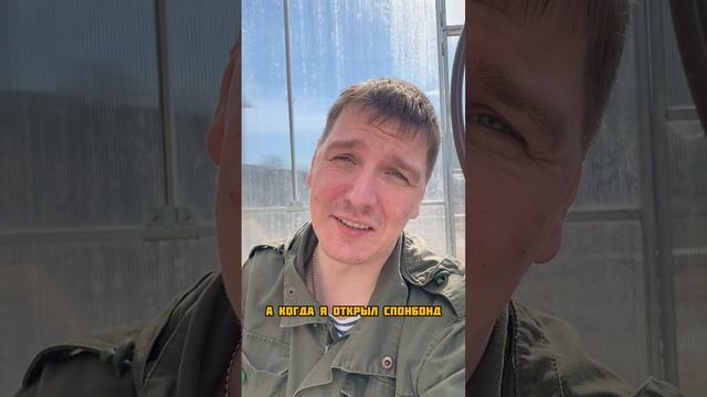 Арбуз завял