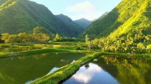 Beautiful Relaxing Music - Stop Overthinking, Stress Relief Music, Sleep Music, Calming Music #133
