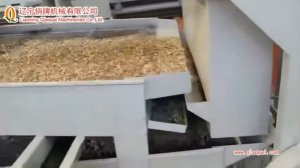 ООО Цяопай ：Оборудование для шелушения и сепарции тыквенной семечки