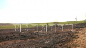 Травяной пожар площадью в 30 гектаров оставил 10 населенных пунктов без электричества