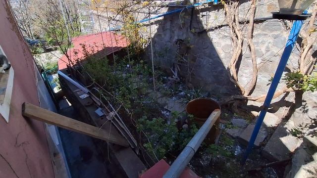УРА! ЖИЗНЬ НАЛАЖИВАЕТСЯ!